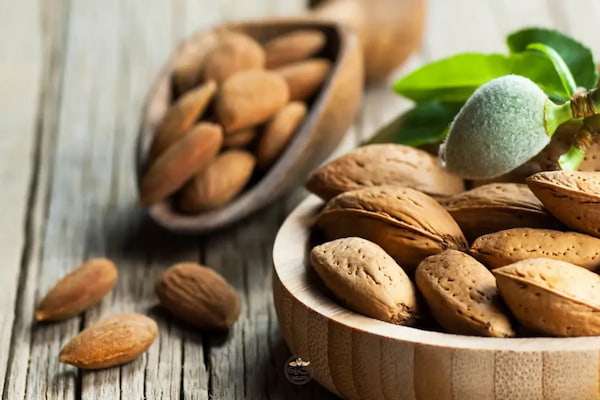 تصویر 3 از قیمت بادام سنگی شیرین با کیفیت ارزان + خرید عمده